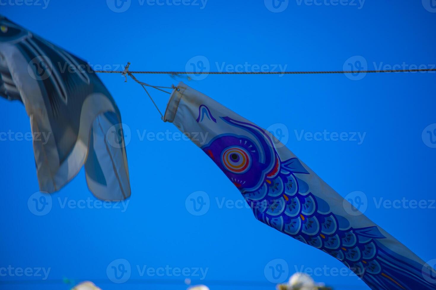 Carp streamer at the park in Tokyo daytime sunny photo
