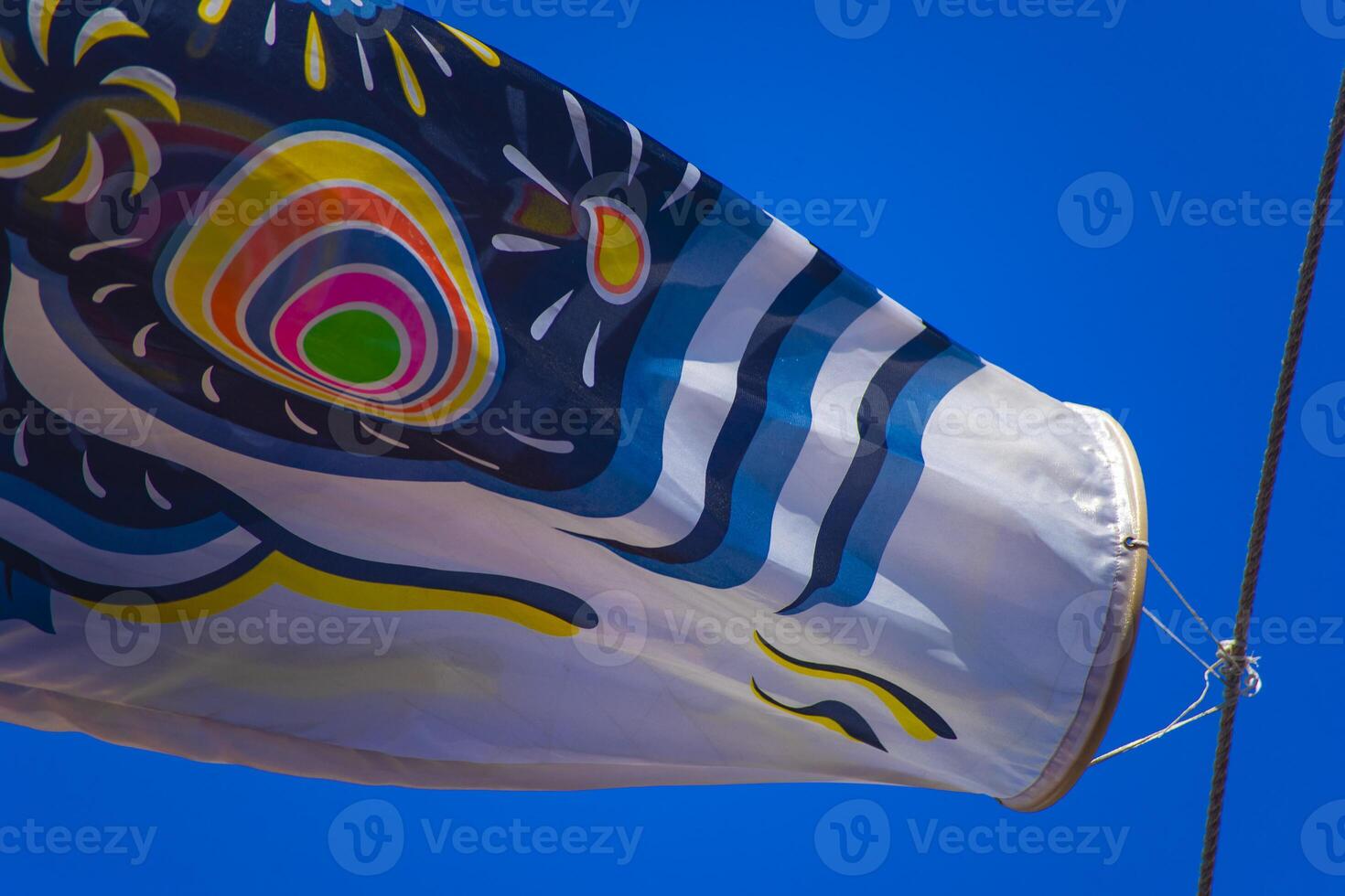 Carp streamer at the park in Tokyo daytime sunny photo