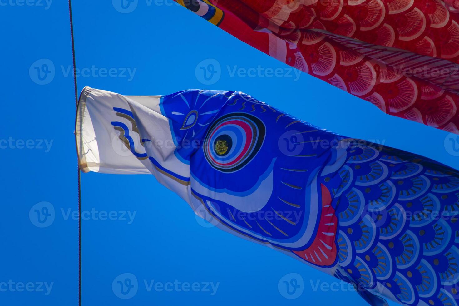 Carp streamer at the park in Tokyo daytime sunny photo