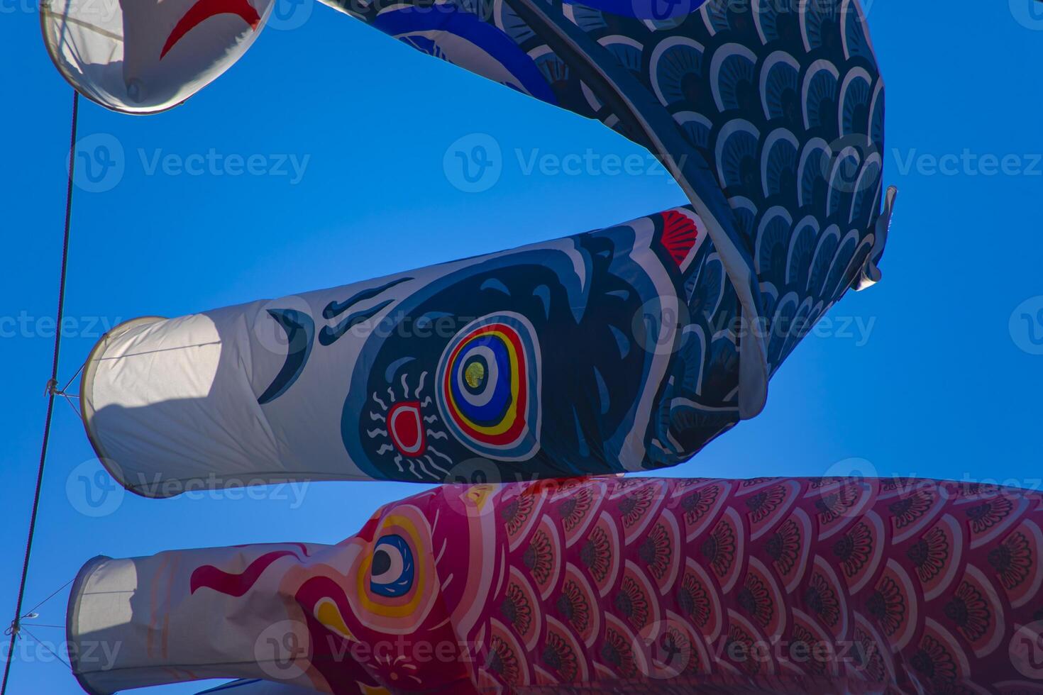 Carp streamer at the park in Tokyo daytime sunny photo