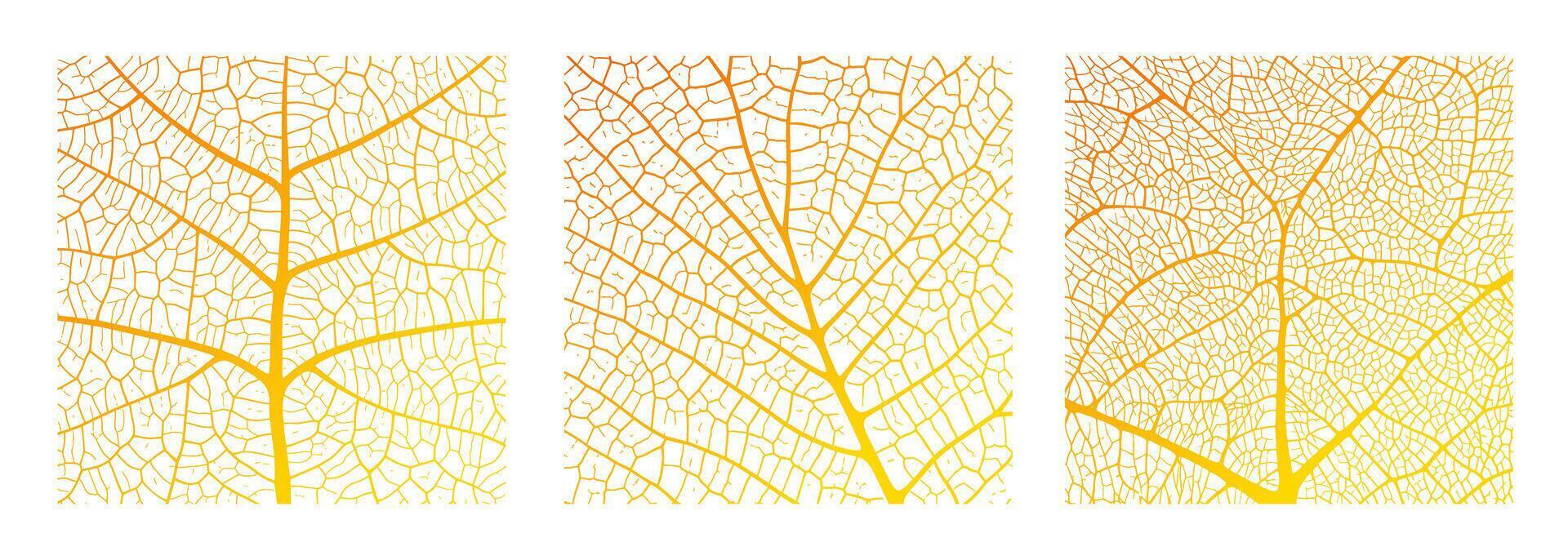 Leaf vein texture abstract background with close up plant leaf cells ornament texture pattern. vector