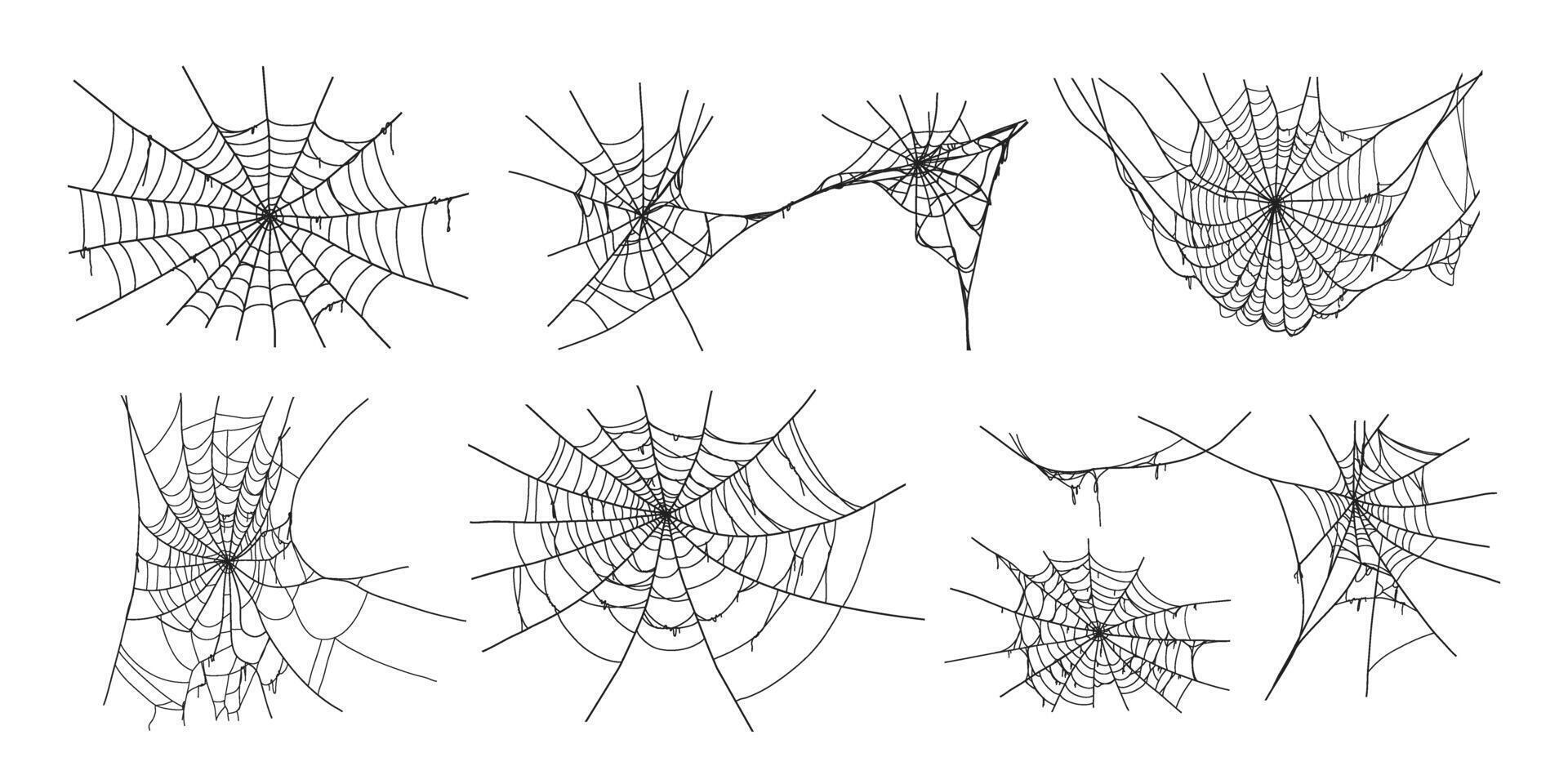 Spooky halloween old spider web with various sizes and shapes. Old cobweb set illustration. vector