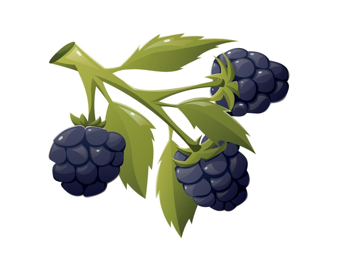 Branch with leaves and black ripe blackberries. isolated cartoon illustration. vector