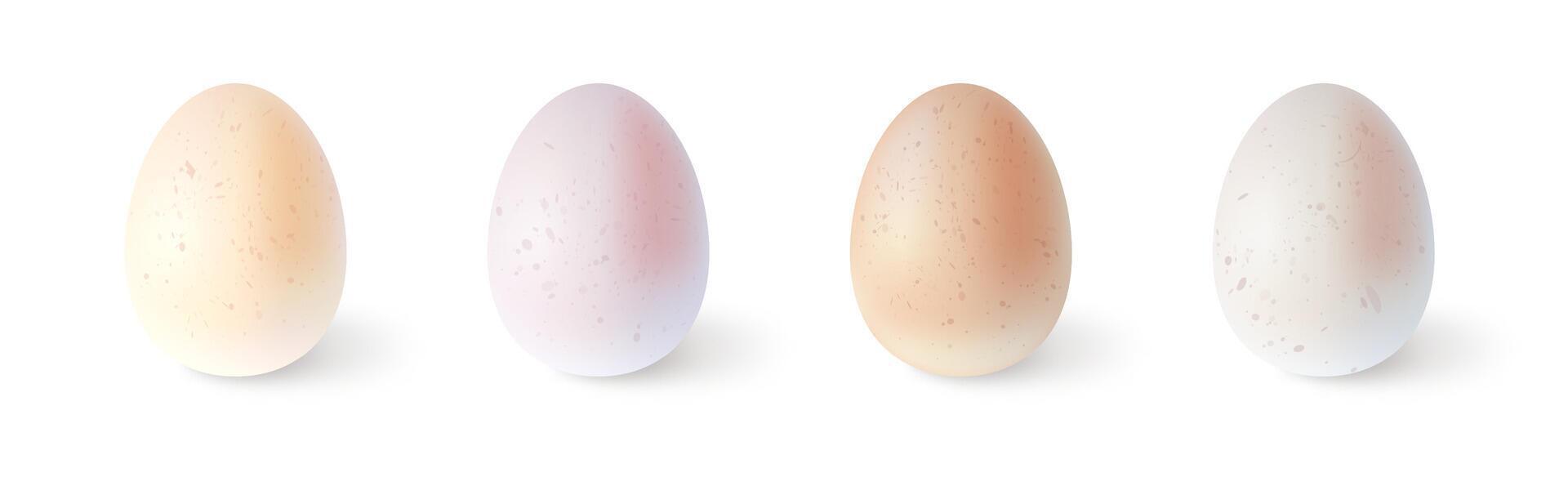 Set of realistic chicken eggs. illustration isolated on white background vector