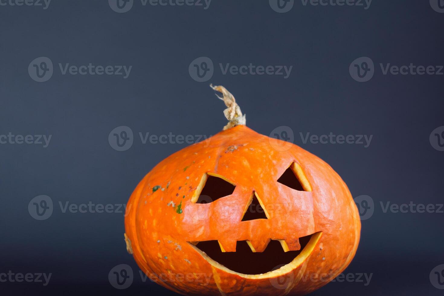 The Enchanting Beauty of Pumpkins A Celebration of Vibrant Colors and Autumnal Charm Capturing the Essence of Harvest Season in Every Curve and Contour photo