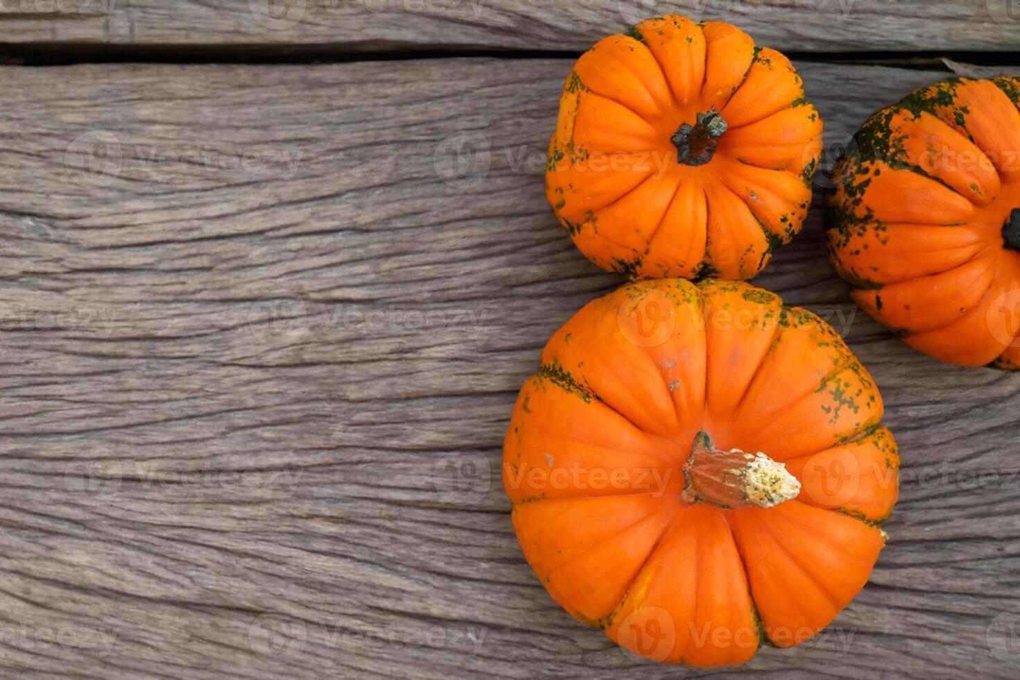The Enchanting Beauty of Pumpkins A Celebration of Vibrant Colors and Autumnal Charm Capturing the Essence of Harvest Season in Every Curve and Contour photo