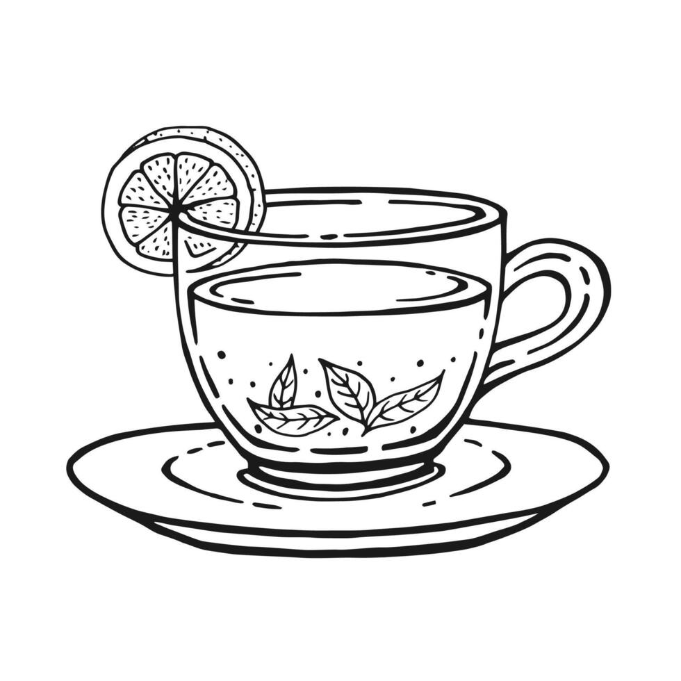 Cup of tea with healthy tea, lemon slices, tea leaves. Hand drawn illustration in outline style. vector