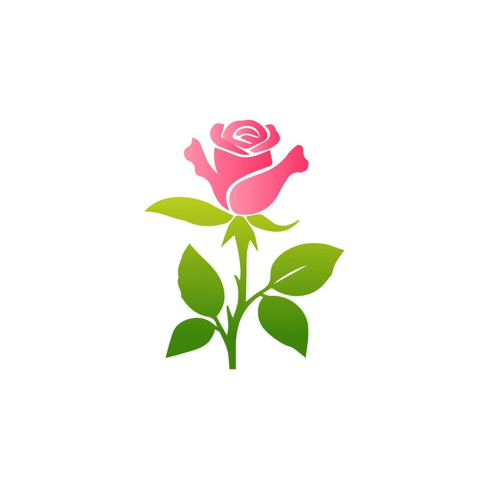 Pink rose flowers, floral decorated with gorgeous multicolored blooming flowers and leaves border. Spring botanical flat illustration on white background vector