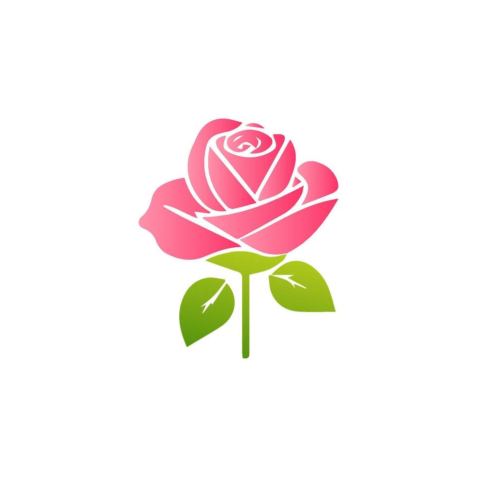 Pink rose flowers, floral decorated with gorgeous multicolored blooming flowers and leaves border. Spring botanical flat illustration on white background vector