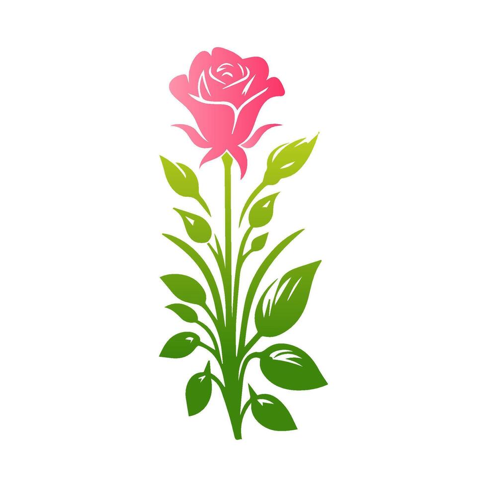 Pink rose flowers, floral decorated with gorgeous multicolored blooming flowers and leaves border. Spring botanical flat illustration on white background vector