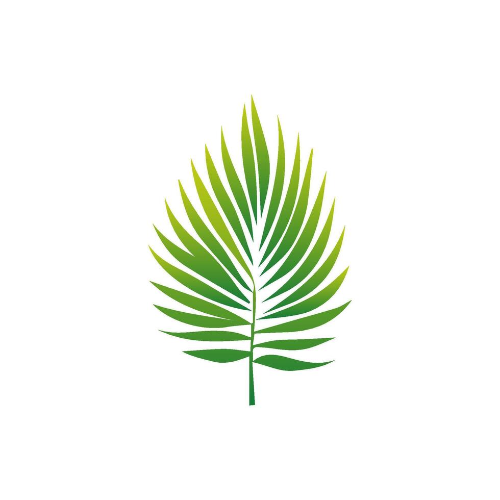 Green Tropical leaves isolated on white background. vector