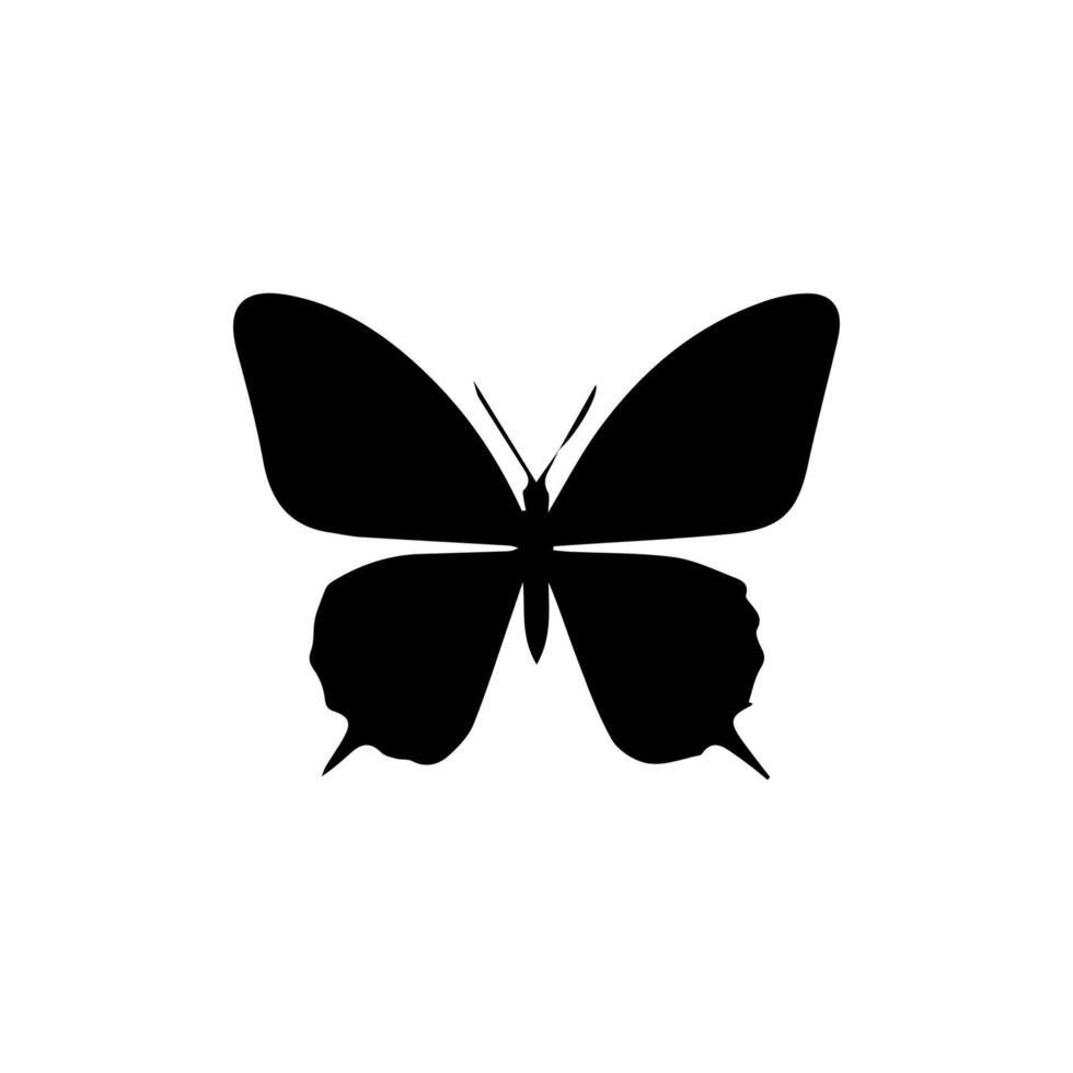 Beautiful Ornament Butterfly Decoration element Design vector