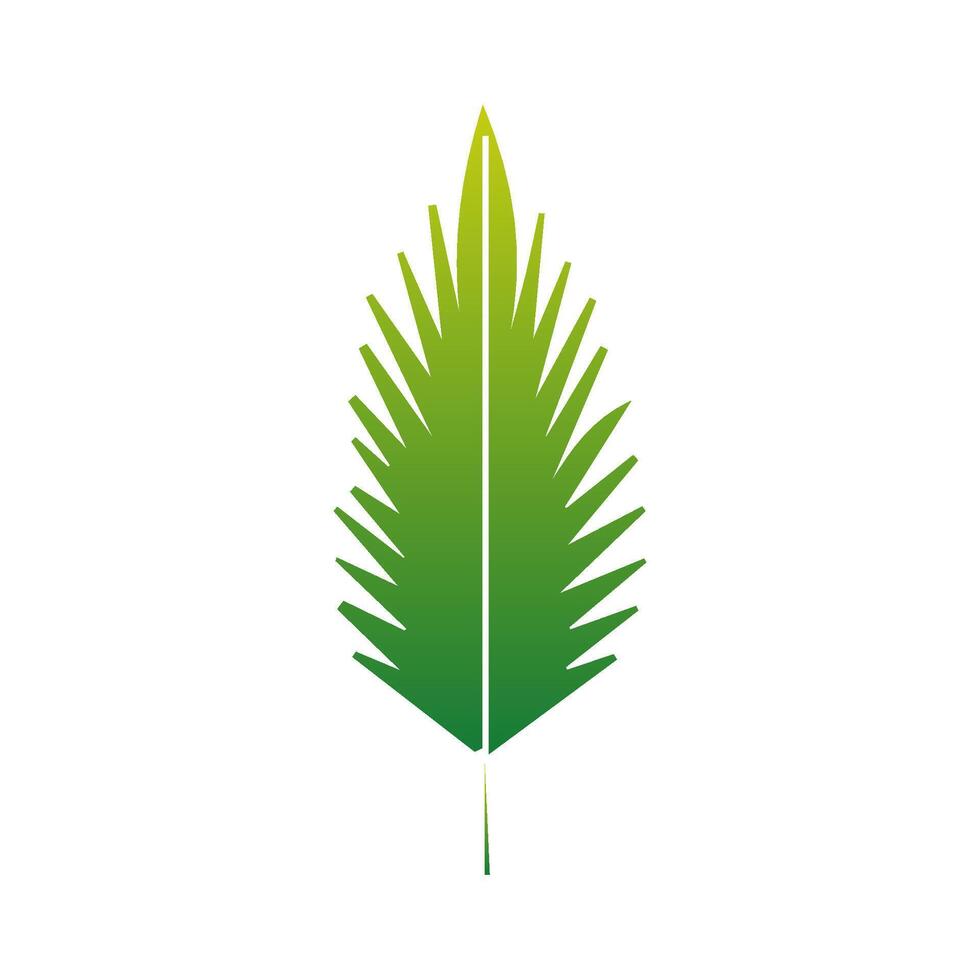 Green Tropical leaves isolated on white background. vector