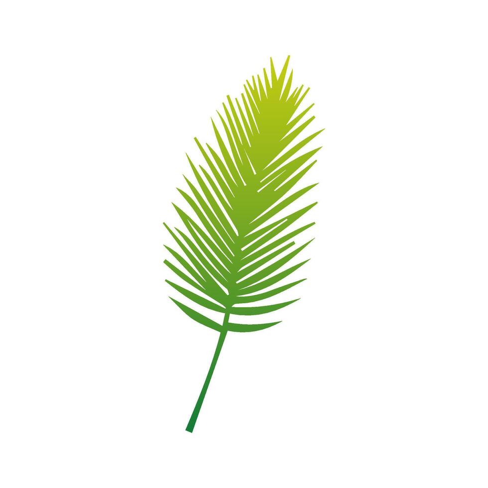Green Tropical leaves isolated on white background. vector