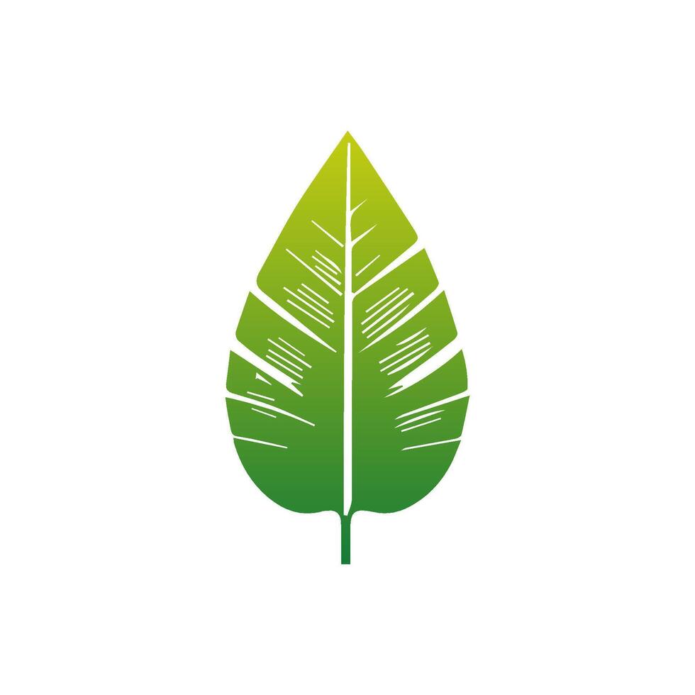 Green leaf icon. Elements design for natural, eco, vegan, bio labels vector