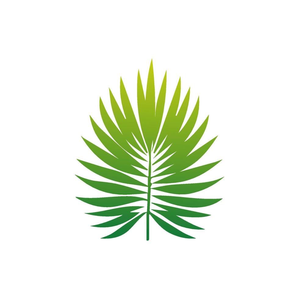 Green Tropical leaves isolated on white background. vector