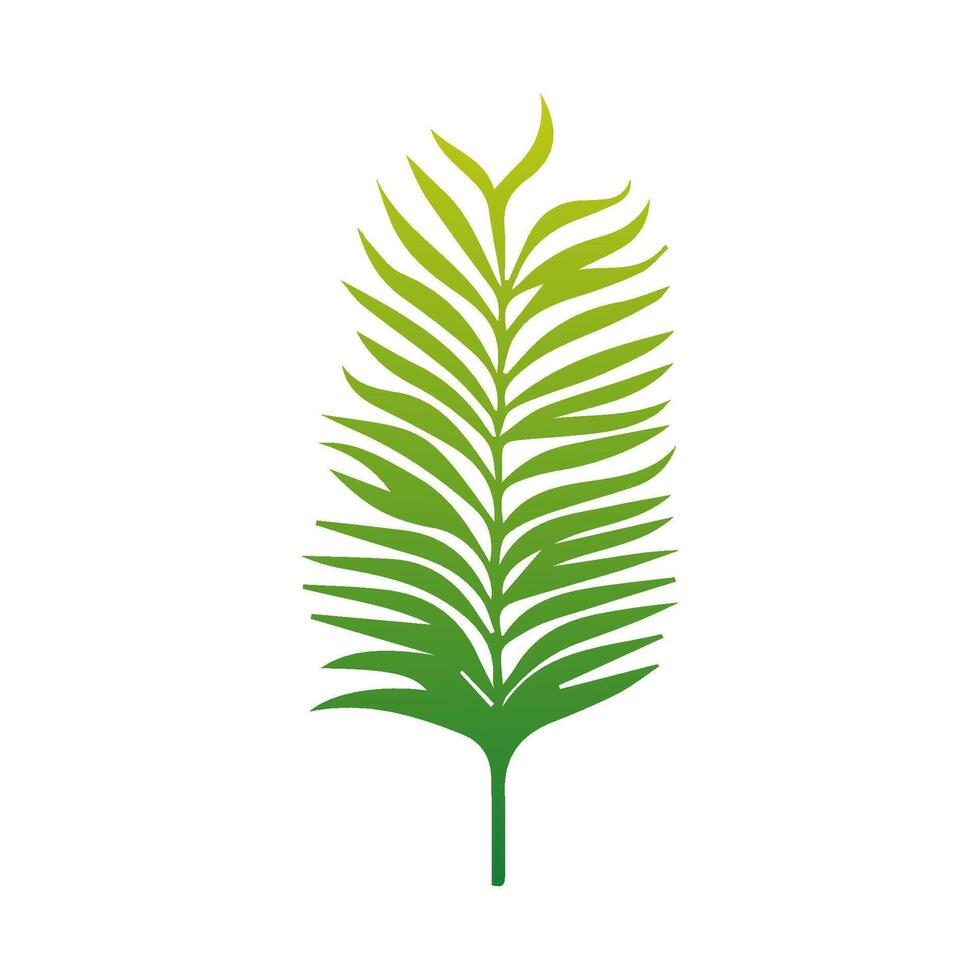 Green Tropical leaves isolated on white background. vector