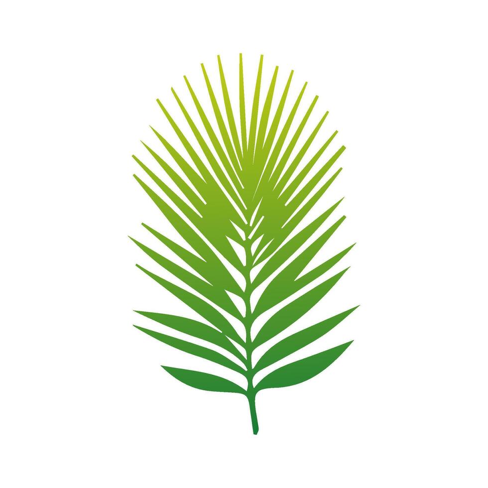 Green Tropical leaves isolated on white background. vector
