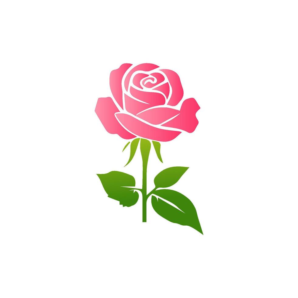 Pink rose flowers, floral decorated with gorgeous multicolored blooming flowers and leaves border. Spring botanical flat illustration on white background vector