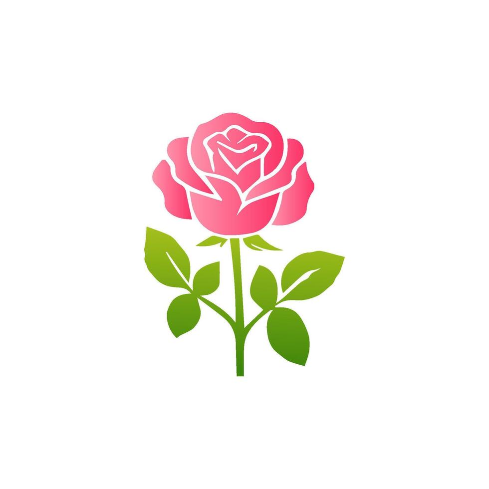 Pink rose flowers, floral decorated with gorgeous multicolored blooming flowers and leaves border. Spring botanical flat illustration on white background vector