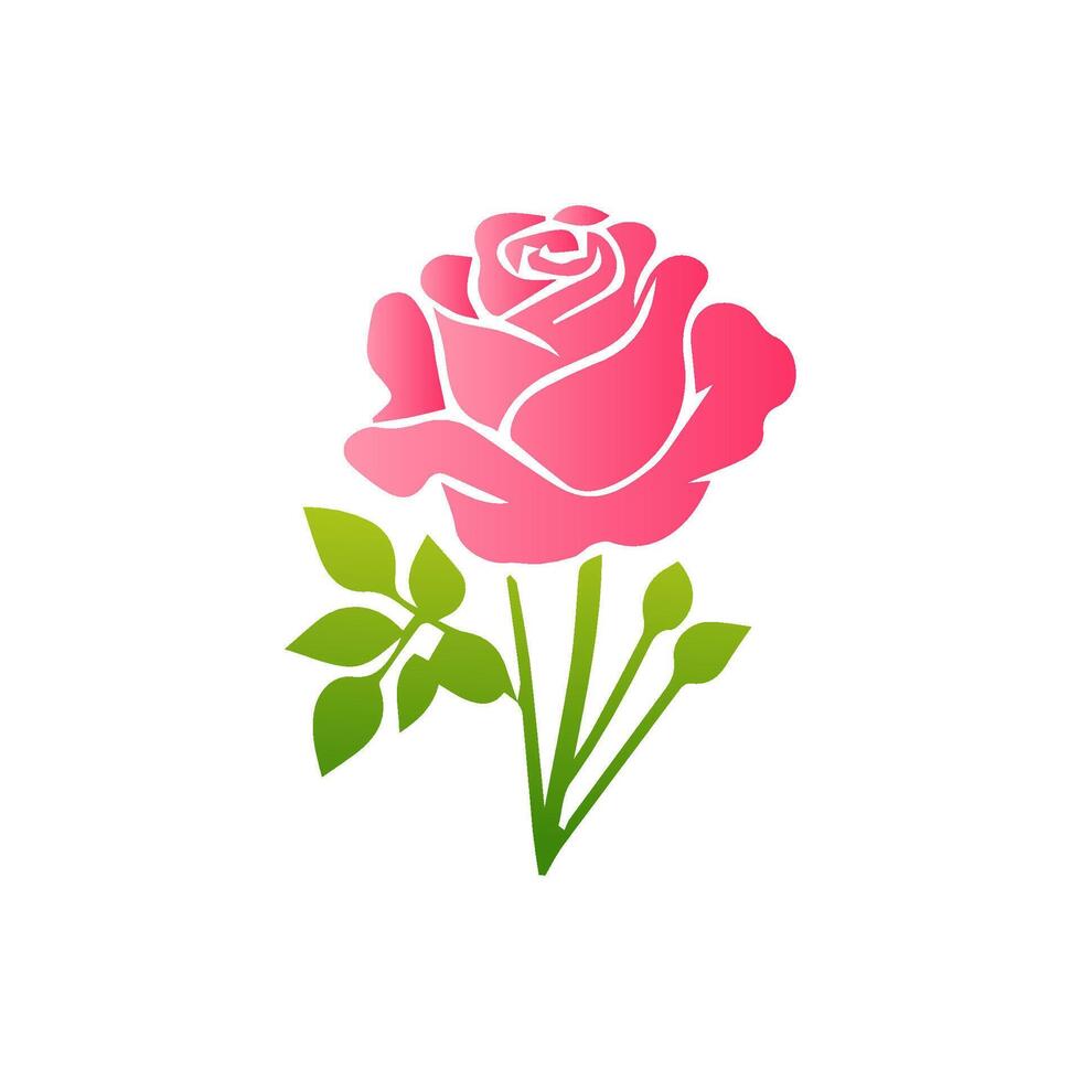Pink rose flowers, floral decorated with gorgeous multicolored blooming flowers and leaves border. Spring botanical flat illustration on white background vector