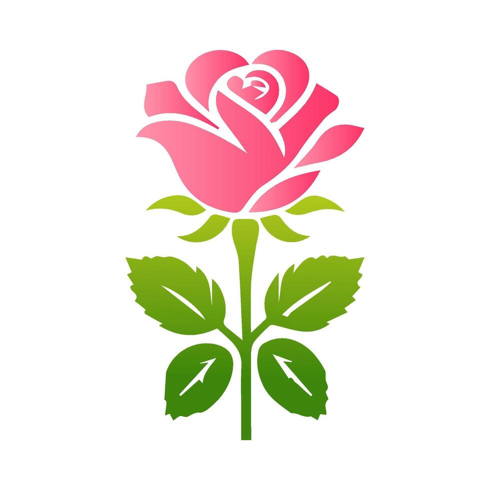 Pink rose flowers, floral decorated with gorgeous multicolored blooming flowers and leaves border. Spring botanical flat illustration on white background vector