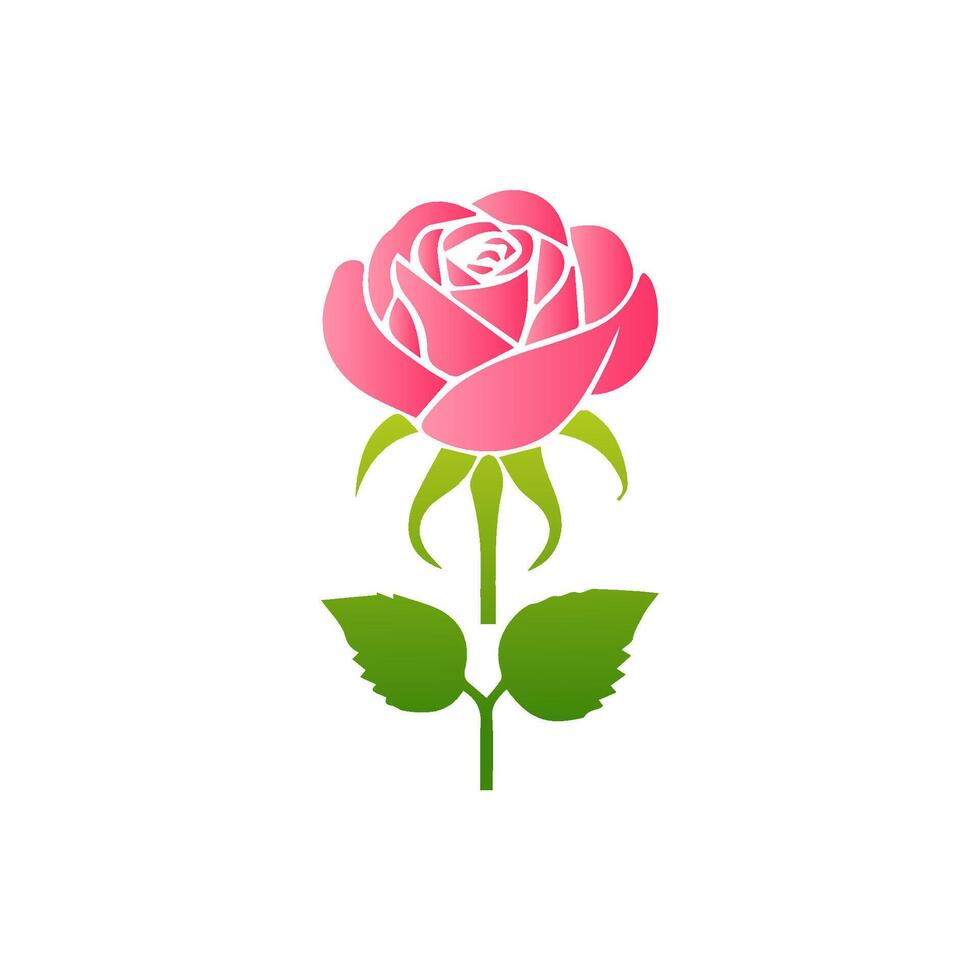 Pink rose flowers, floral decorated with gorgeous multicolored blooming flowers and leaves border. Spring botanical flat illustration on white background vector