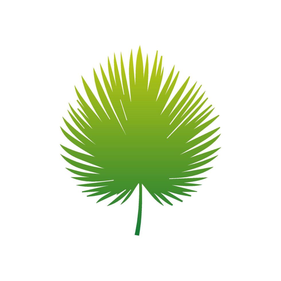 Green Tropical leaves isolated on white background. vector