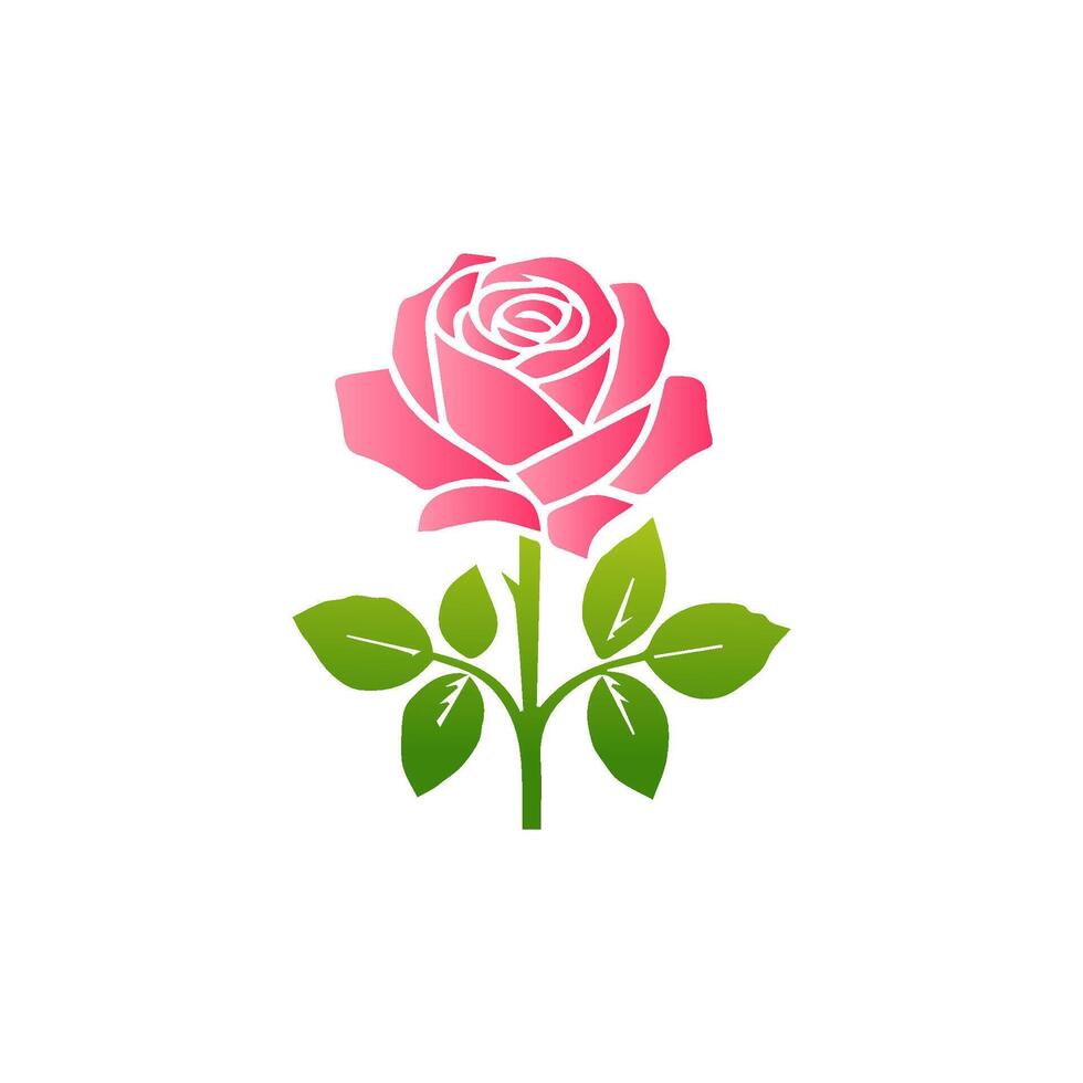 Pink rose flowers, floral decorated with gorgeous multicolored blooming flowers and leaves border. Spring botanical flat illustration on white background vector