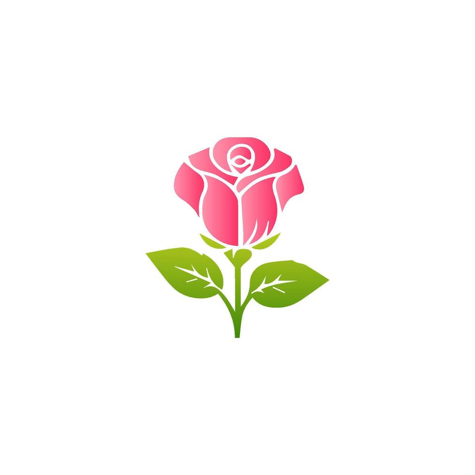 Pink rose flowers, floral decorated with gorgeous multicolored blooming flowers and leaves border. Spring botanical flat illustration on white background vector