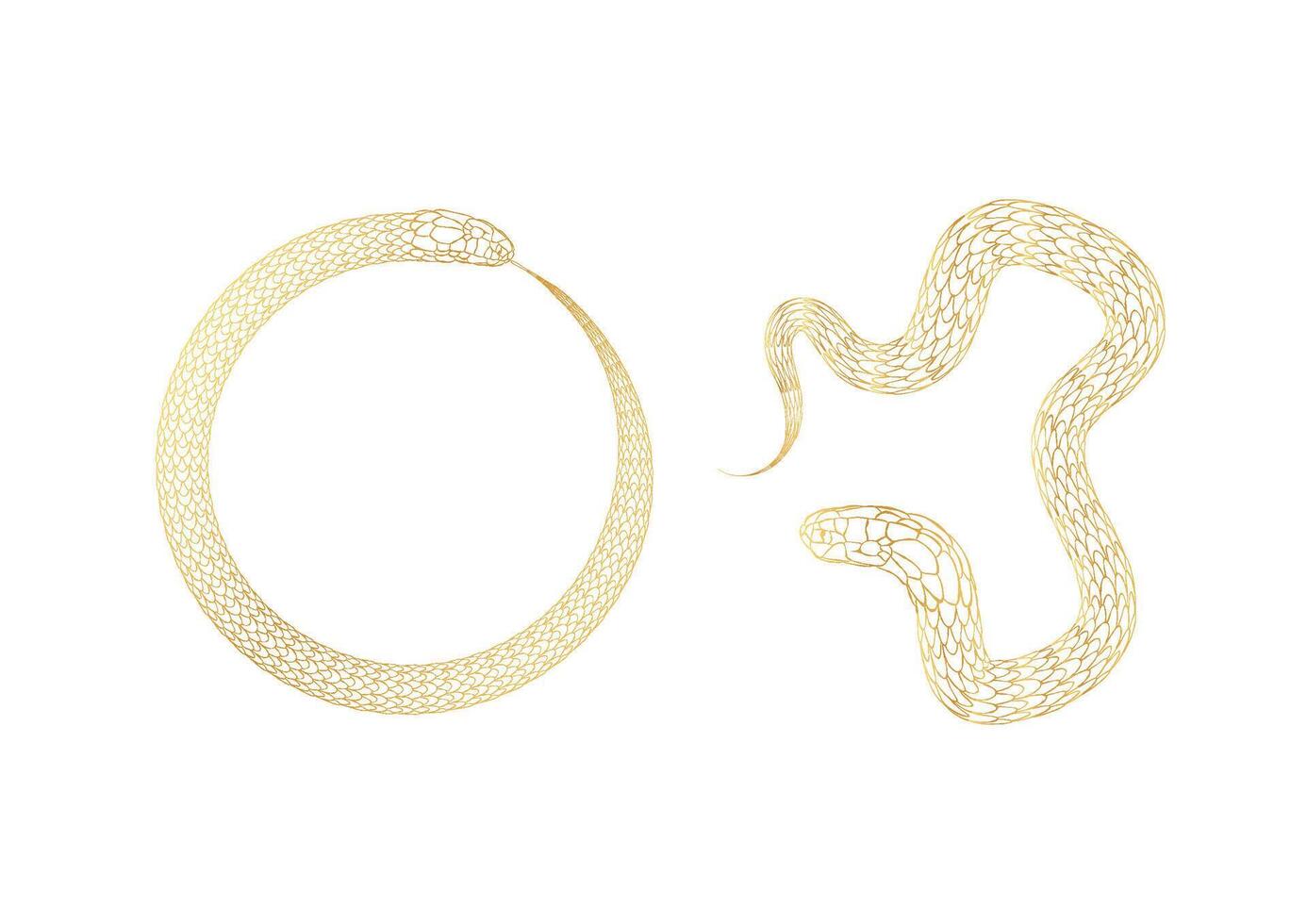 golden snake, silhouette, outline, symbol 2025, isolated on white background vector