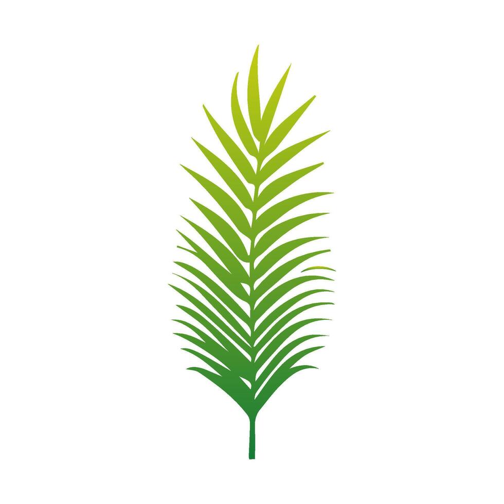 Green Tropical leaves isolated on white background. vector