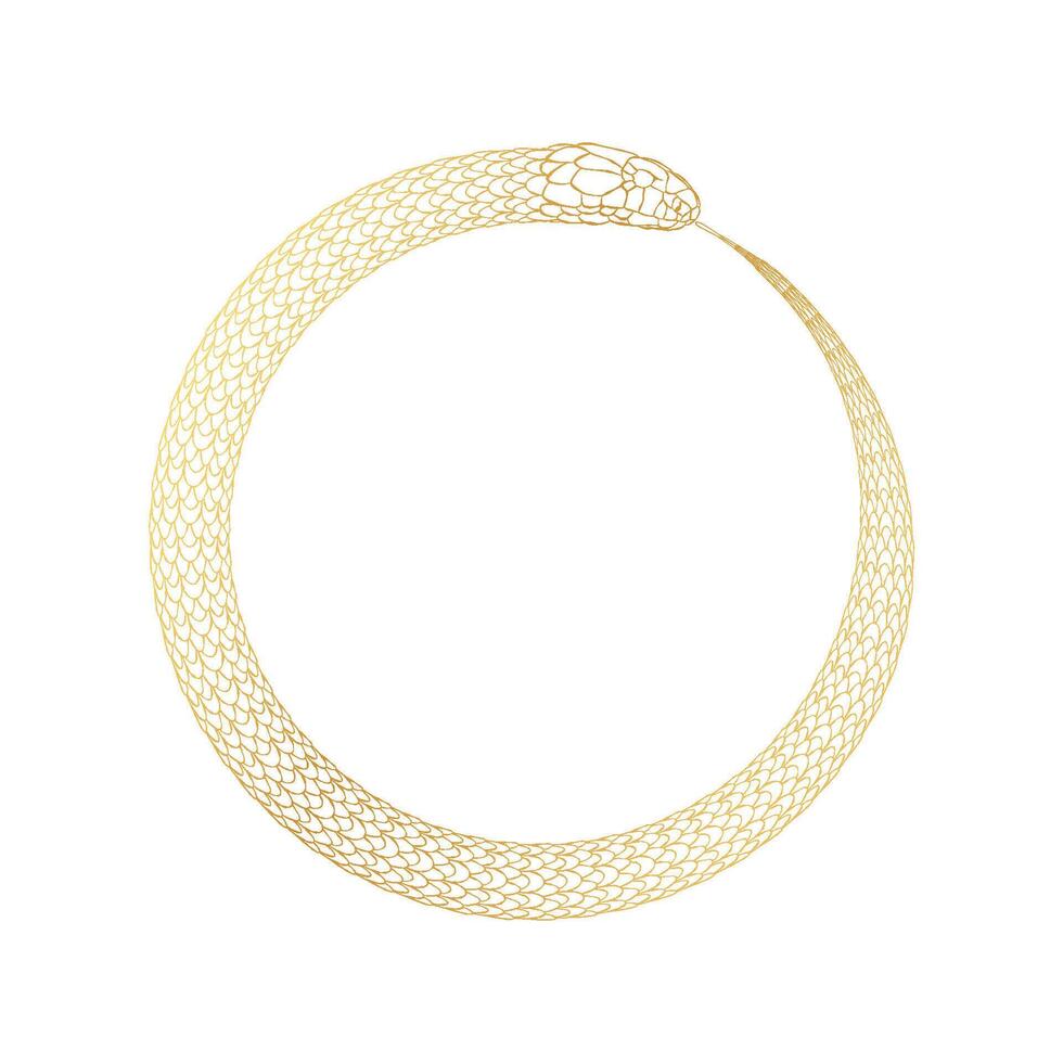 golden snake, silhouette, ouroboros outline, symbol 2025, isolated on white background vector