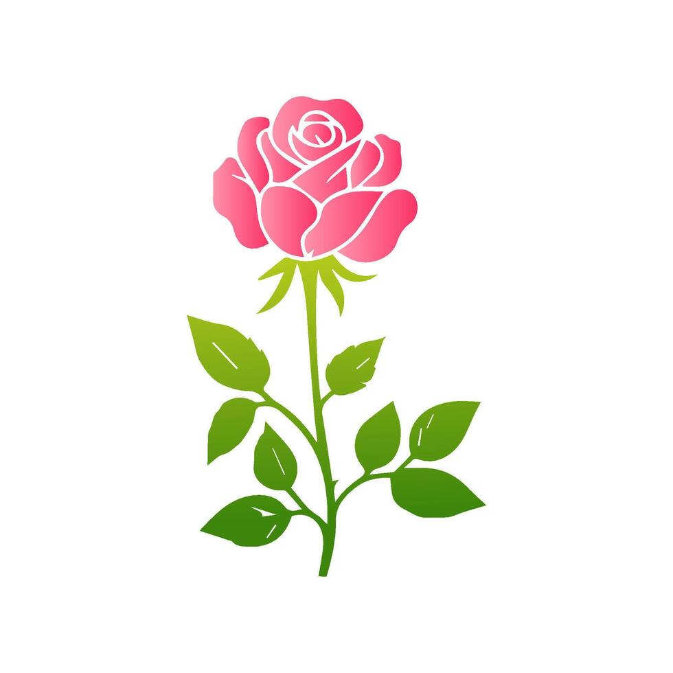 Pink rose flowers, floral decorated with gorgeous multicolored blooming flowers and leaves border. Spring botanical flat illustration on white background vector