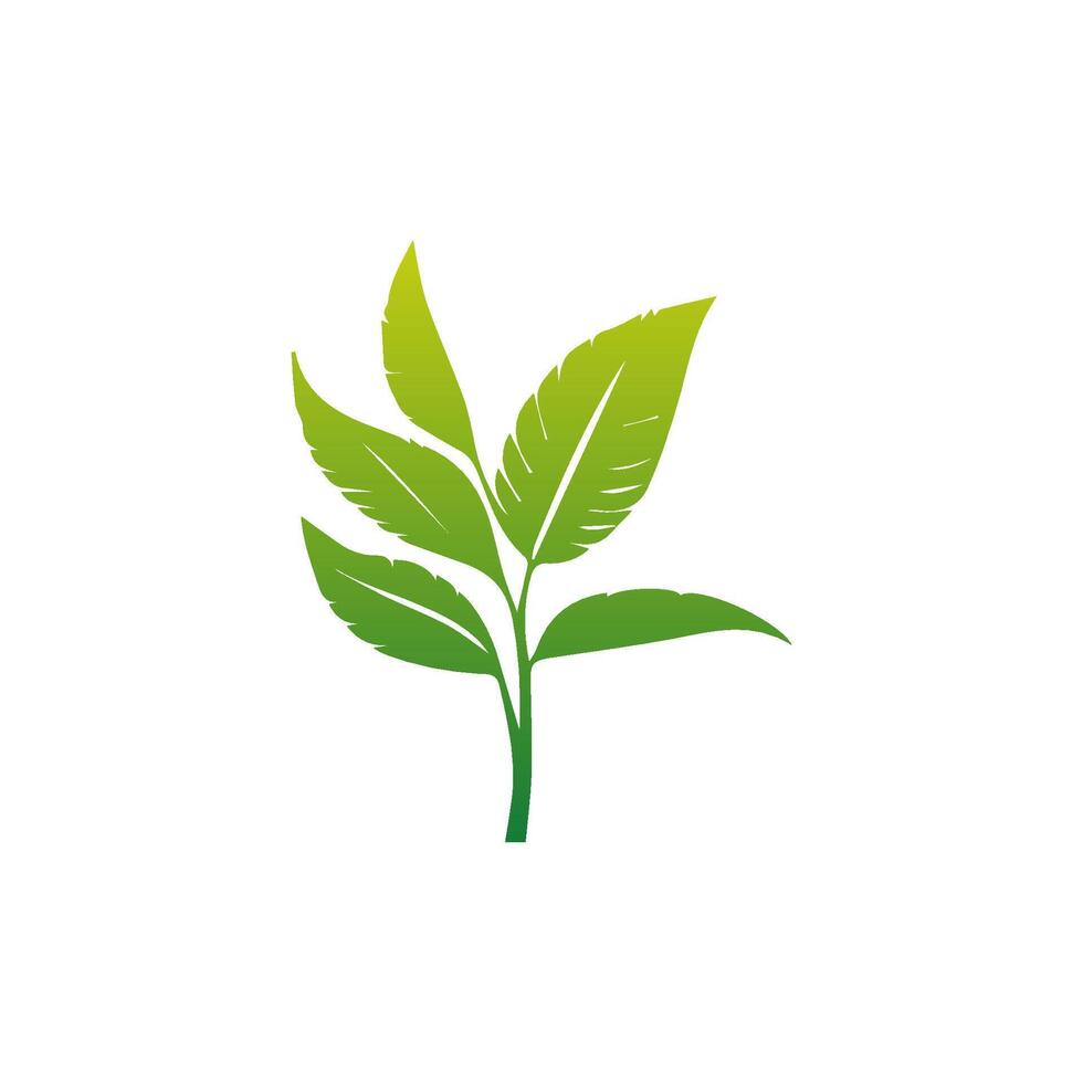 Green leaf icon green. Elements design for natural, eco, vegan, bio labels vector