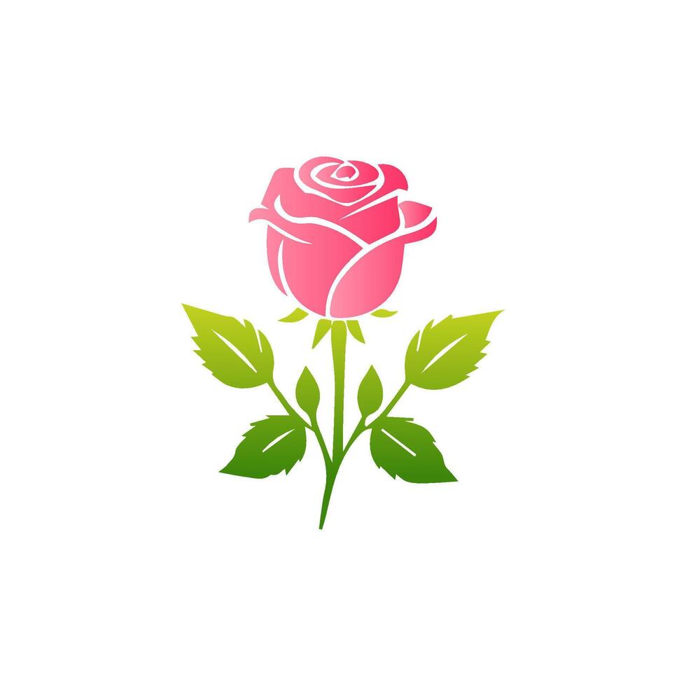 Pink rose flowers, floral decorated with gorgeous multicolored blooming flowers and leaves border. Spring botanical flat illustration on white background vector