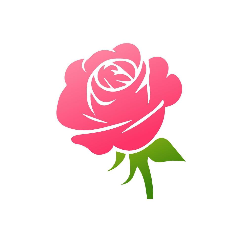 Pink rose flowers, floral decorated with gorgeous multicolored blooming flowers and leaves border. Spring botanical flat illustration on white background vector