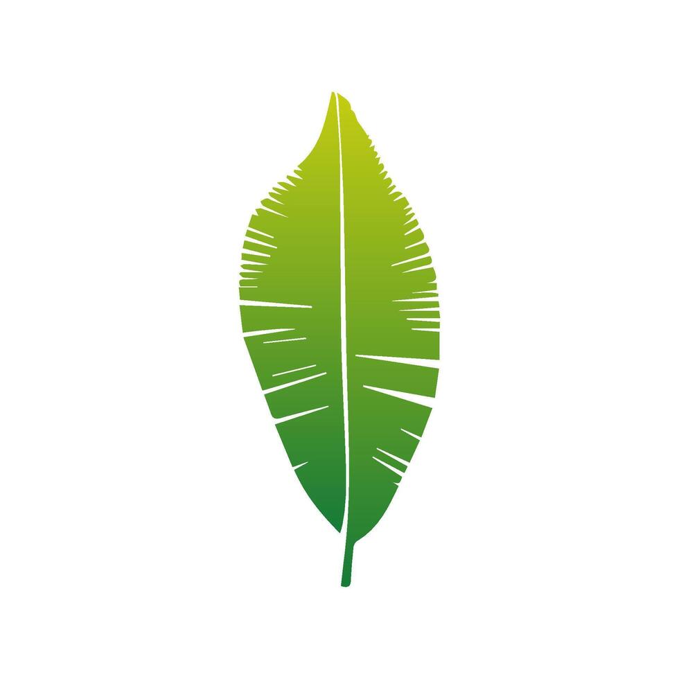 Green leaf icon green. Elements design for natural, eco, vegan, bio labels vector