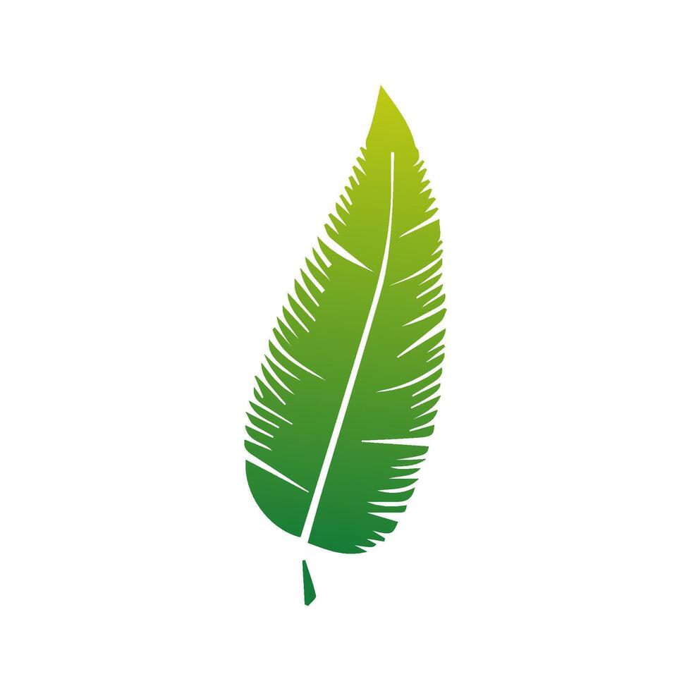 Green Tropical leaves isolated on white background. vector