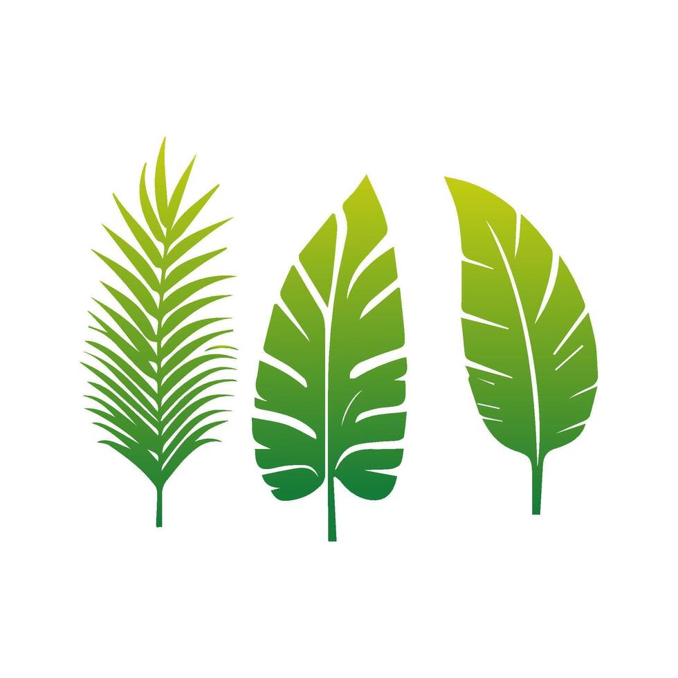 Green Tropical leaves isolated on white background. vector
