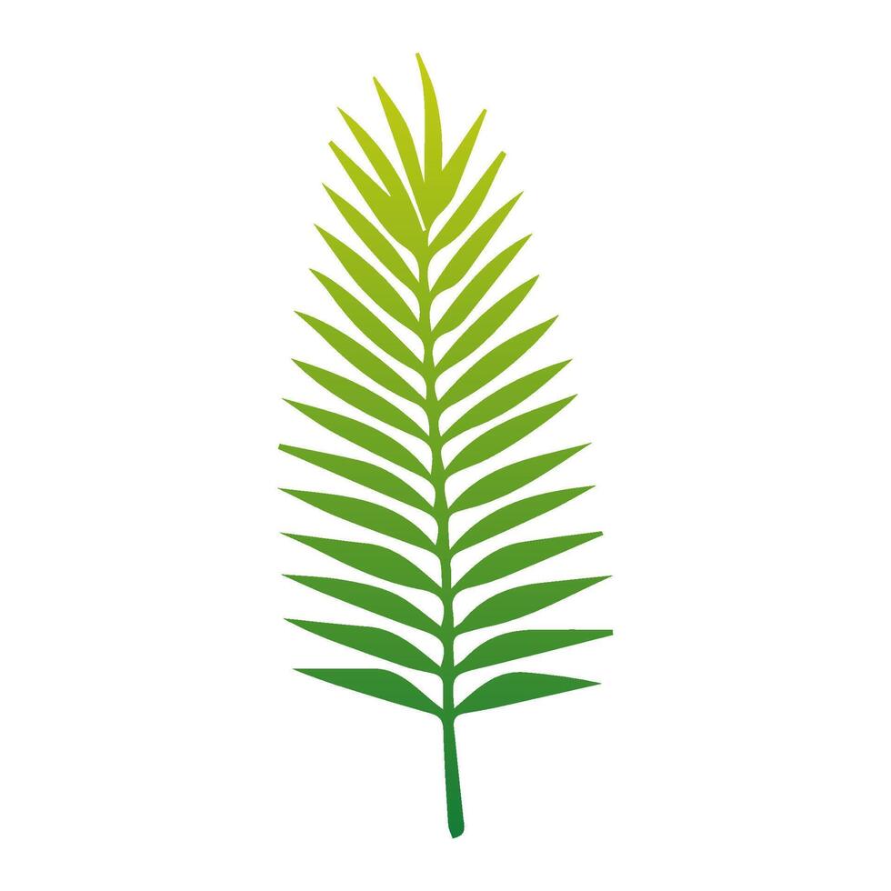 Green Tropical leaves isolated on white background. vector