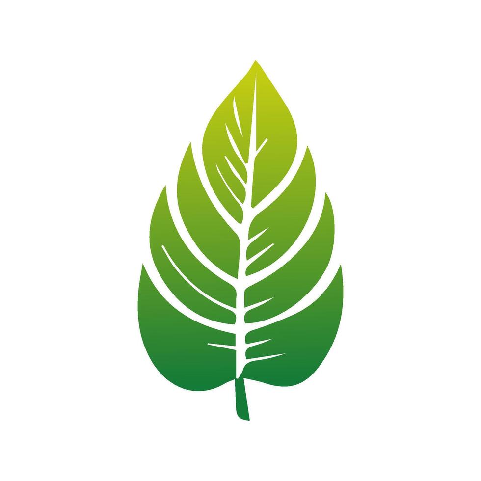 Green leaf icon green. Elements design for natural, eco, vegan, bio labels vector
