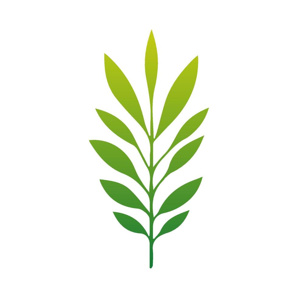 Green Tropical leaves isolated on white background. vector