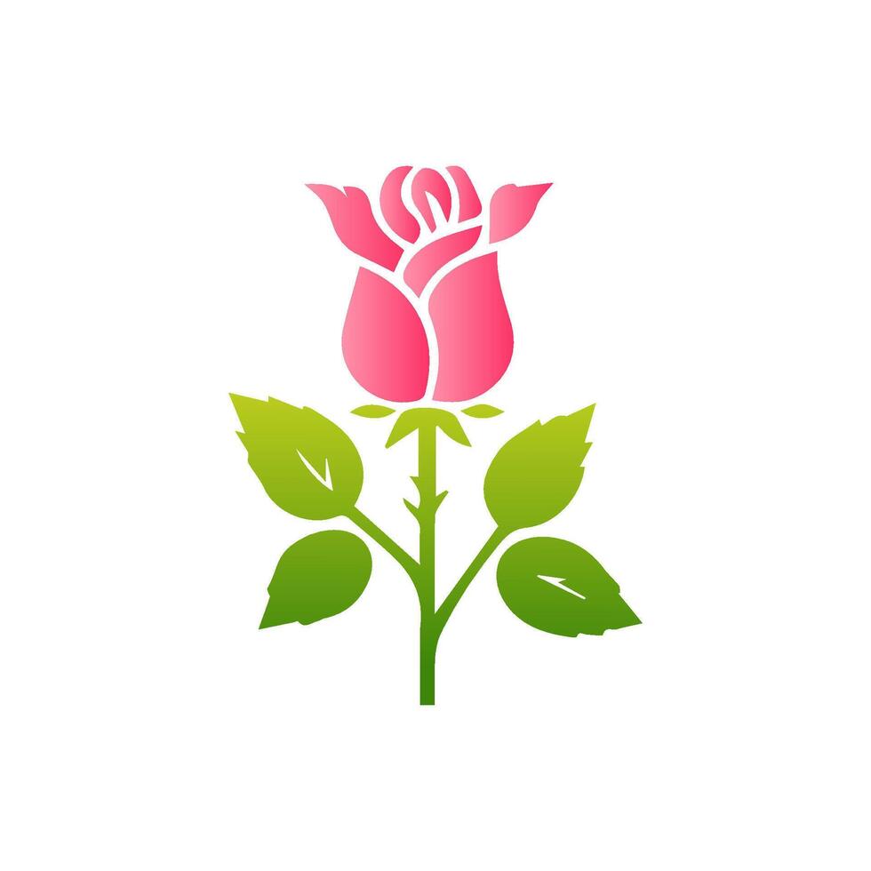 Pink rose flowers, floral decorated with gorgeous multicolored blooming flowers and leaves border. Spring botanical flat illustration on white background vector