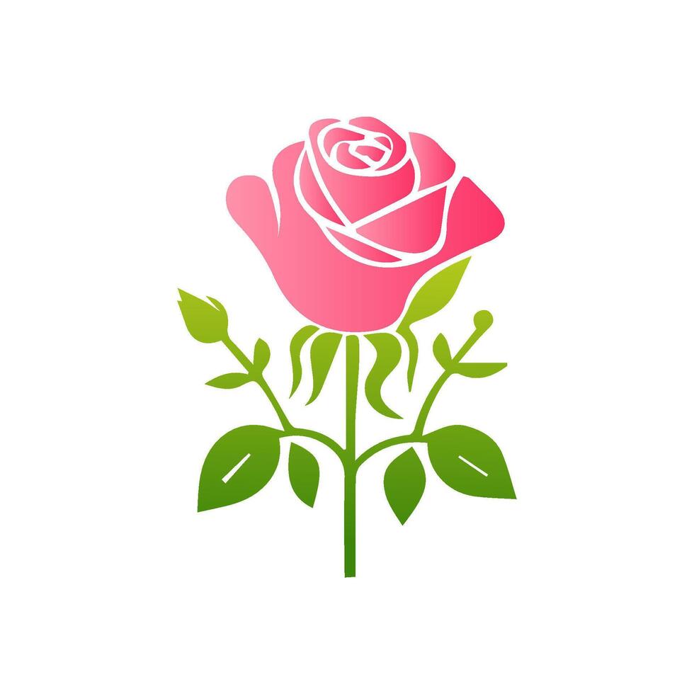 Pink rose flowers, floral decorated with gorgeous multicolored blooming flowers and leaves border. Spring botanical flat illustration on white background vector