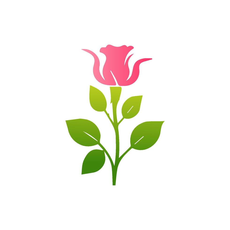 Pink rose flowers, floral decorated with gorgeous multicolored blooming flowers and leaves border. Spring botanical flat illustration on white background vector