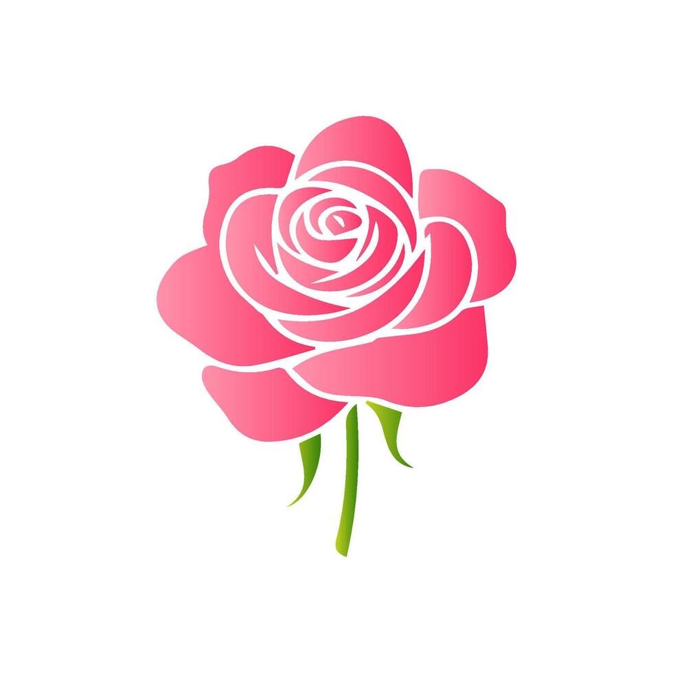 Pink rose flowers, floral decorated with gorgeous multicolored blooming flowers and leaves border. Spring botanical flat illustration on white background vector
