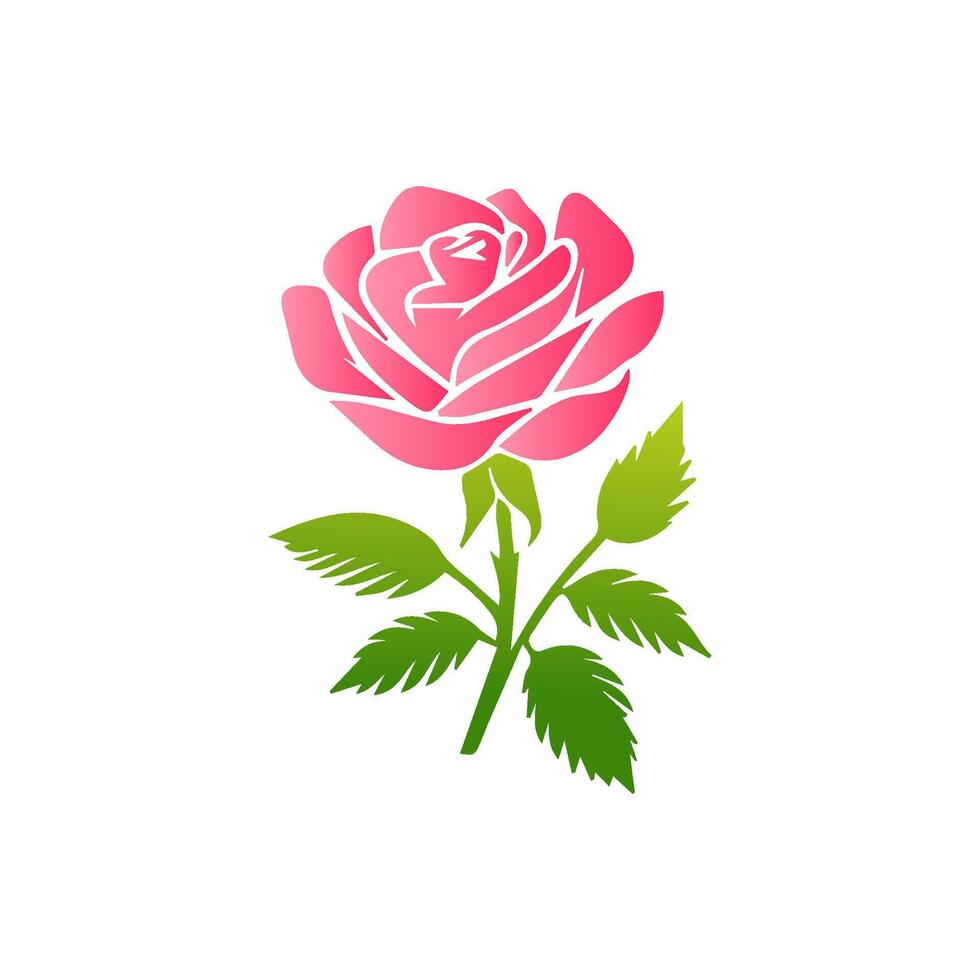Pink rose flowers, floral decorated with gorgeous multicolored blooming flowers and leaves border. Spring botanical flat illustration on white background vector