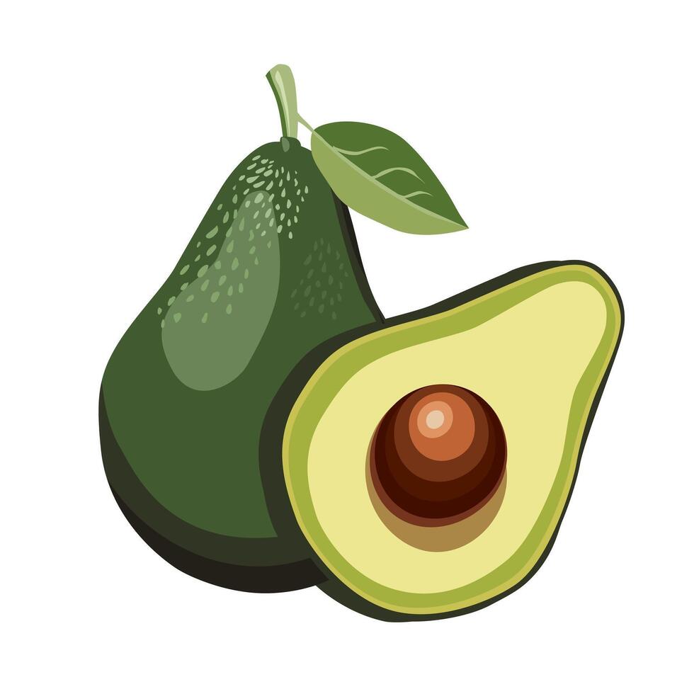 Fresh whole and half cut green avocado with leaf isolated on white background. Side view clipart. Summer food illustration in flat style for design of card, banner, flyer, poster for party vector