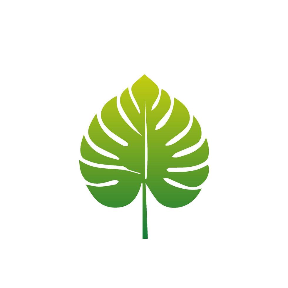 Green Tropical leaves isolated on white background. vector